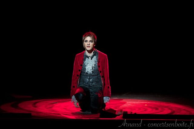 Fichier:Mozart-lopera-rock-le-dome-marseille-11-06-11-16.jpg