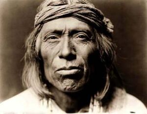 Zuni-warrior-19032-330x255