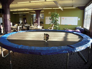 Felixtrampoline