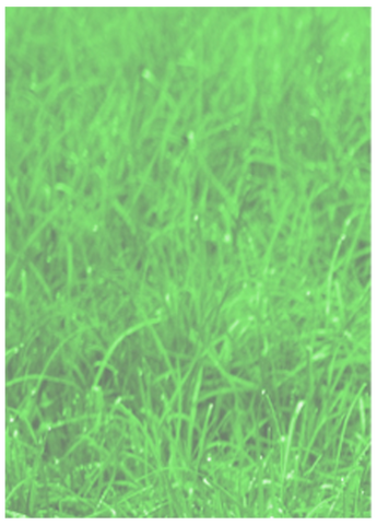 File:MTGSet8.png