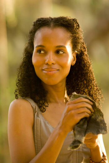 Kerry-washington-real-hair-django