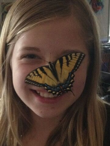File:Meandthebutterfly.jpg