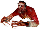 Call of Duty Zombie