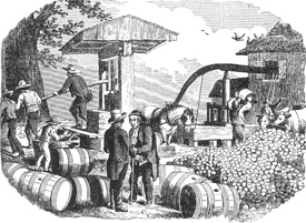 Harvest