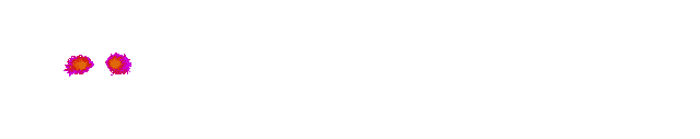 File:DoomWM2002PlasmaBeam2.gif