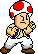 ToadKF