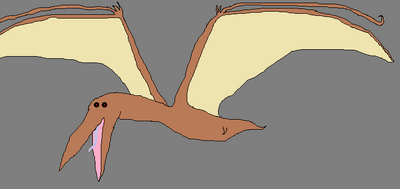 Curbrevis