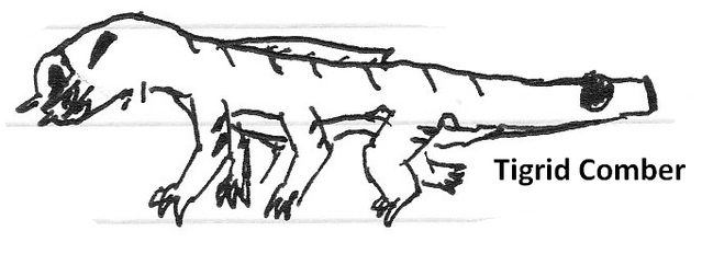 File:Tigrid comber.png