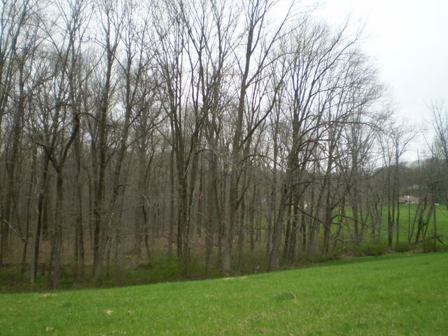 File:4181.jpg
