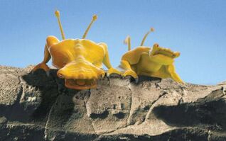 Yellow Aliens
