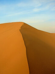 Virgin Dune