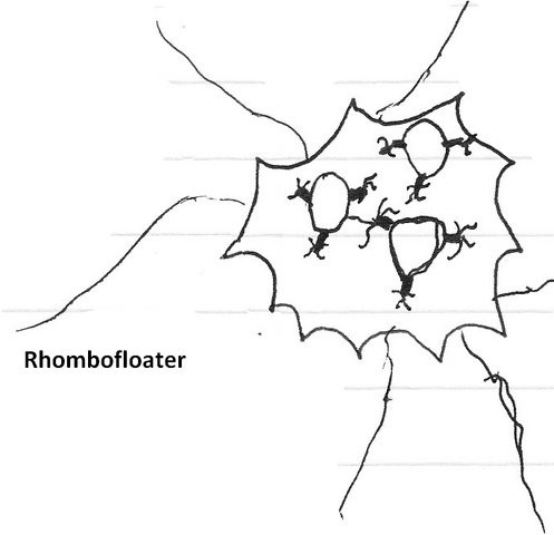 File:Rhombofloater.png
