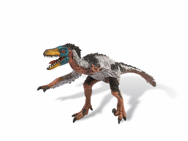 File:Raptorsapiens.jpg