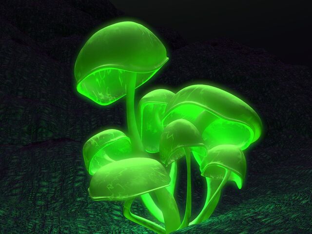 File:Greenglowshroom.jpg