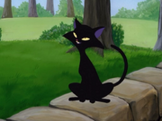 TheBlackCat