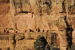 Mesa-verde-national-park-mummy-house-anasazi-ruins