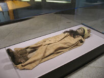 Mummy-beauty-museum