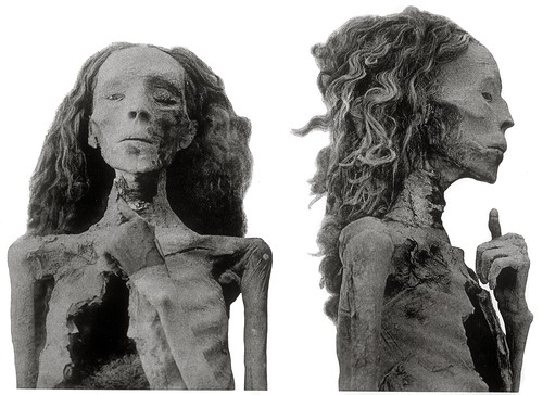 File:Queen Tiye.jpg