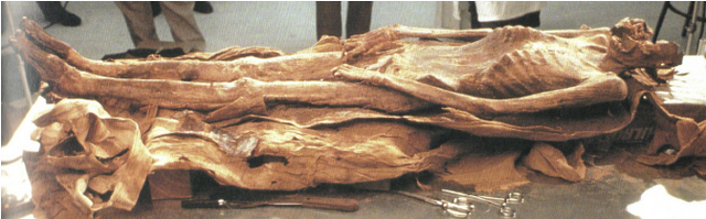 File:Nakht.png