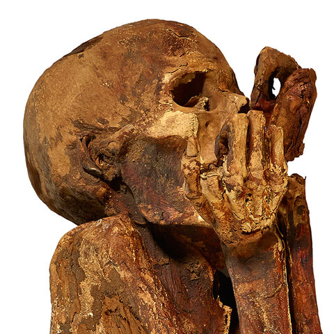 File:Gebelien-man 624x624.jpg