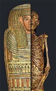 Mummyshepenmehyt