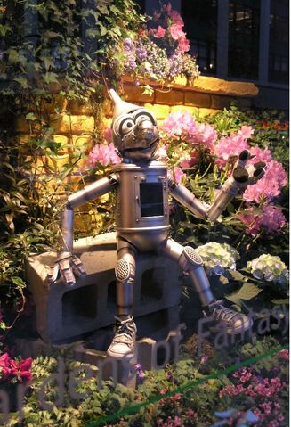 File:Ozflowershow07.jpg