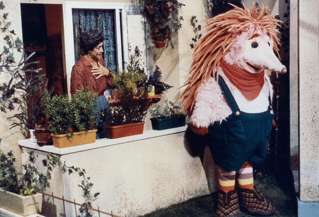 File:Kippi plants.jpg