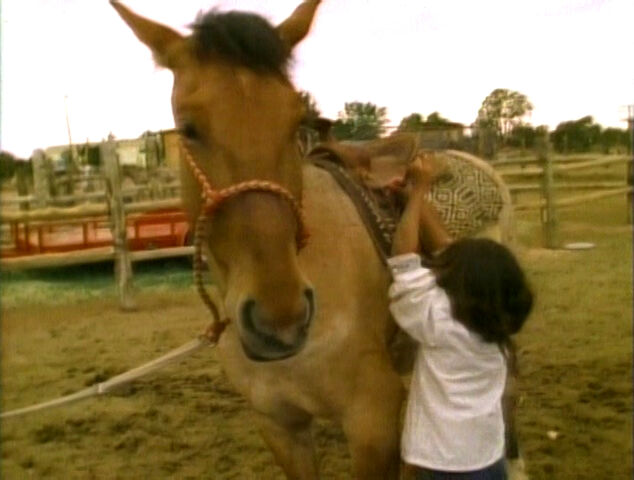File:StrawberryHorse.jpg