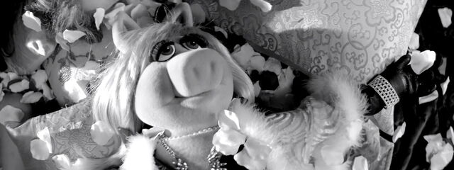 File:Moi video 23.jpg