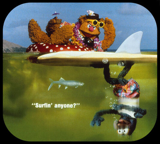File:VMhawaii-b4.jpg