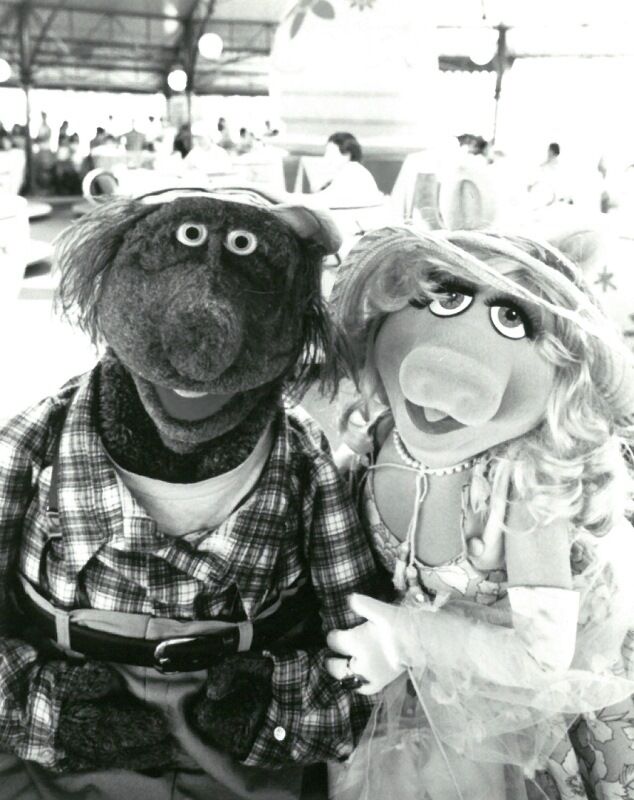 File:WDW PRESS.jpg