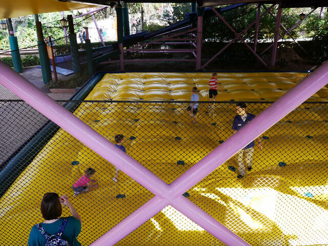 File:43 canopy crawl.jpg