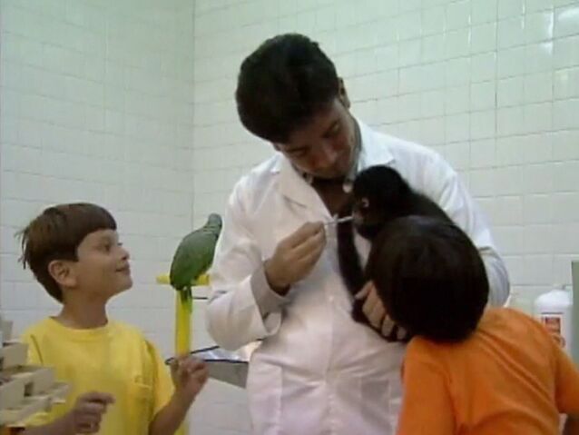 File:SoyVeterinario.jpg