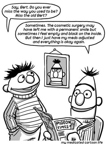 File:BertAndErnieMyMedicatedCartoonLife.jpg