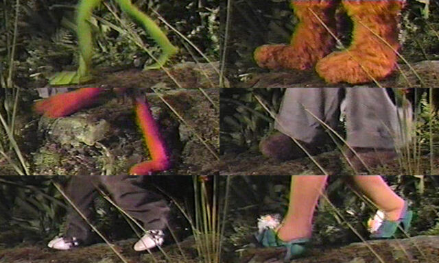 File:Muppets at disney feet.jpg