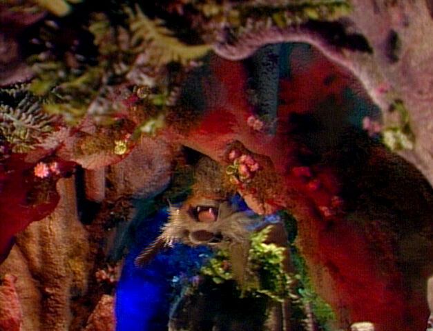 File:FraggleRock-503b.jpg
