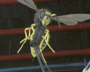 File:Wasp.jpg