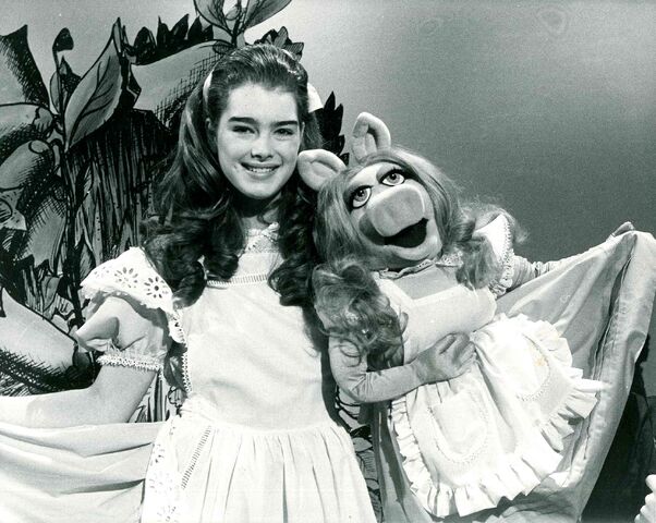 File:Brooke Shields06.jpg