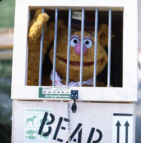 File:Fozzie bear gmc.jpg