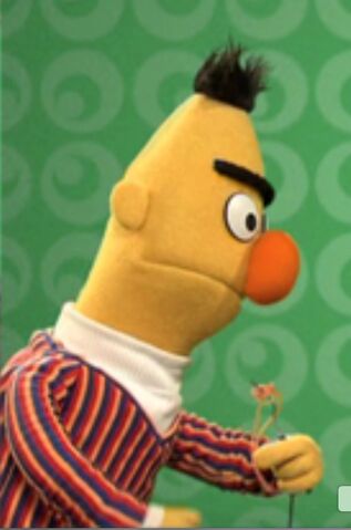 File:Bert yellow.jpeg