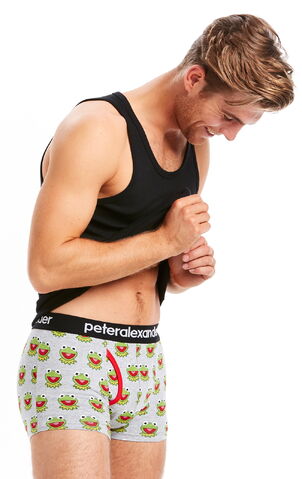 File:Peter alexander mens kermit trunk.jpg