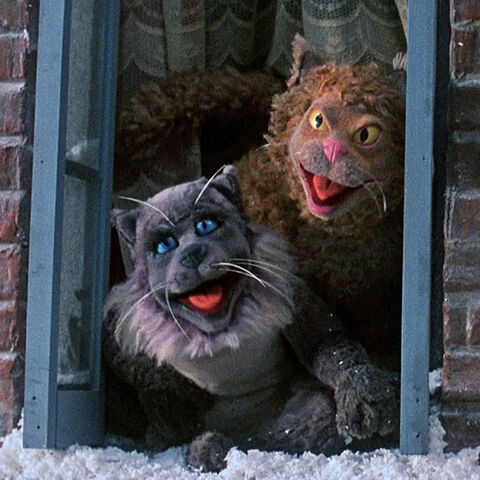 File:MCC cats 01.jpg