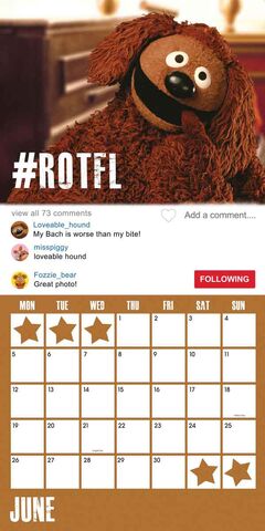 File:Muppet 2017 Calendar Danilo June.jpg