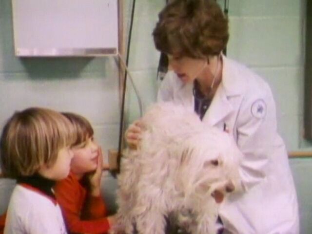 File:Animaldoctor.jpg