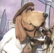 Classicdog