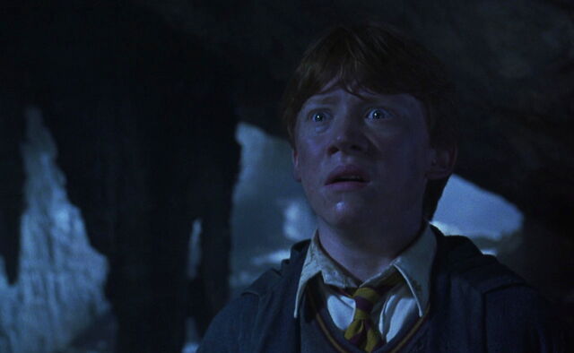 File:Chamber secrets ron.jpg
