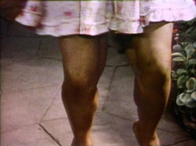 File:1455-Body.jpg