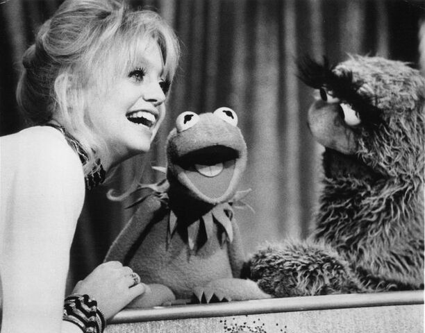 File:Pure goldie image.jpg