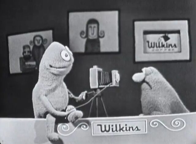File:Wilkins-Camera.jpg