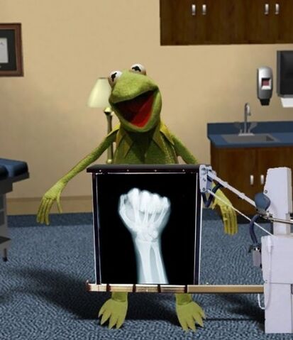 File:Kermit-xray-photo.jpg